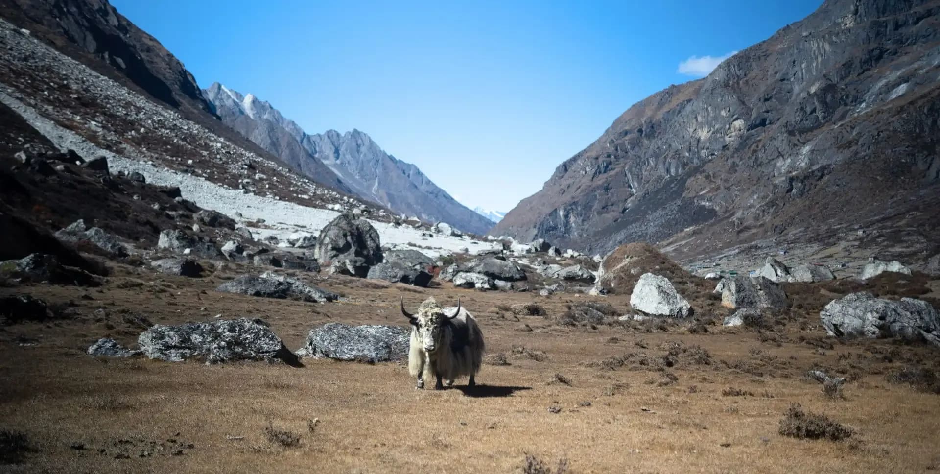 Rolwaling Valley Trek